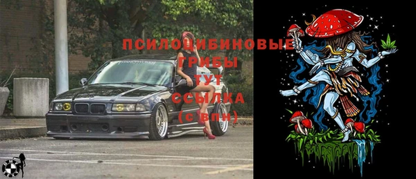 винт Армянск