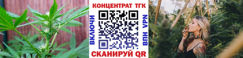 Дистиллят ТГК Wax  Спас-Деменск 