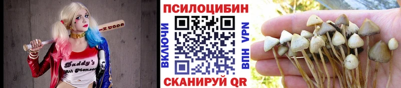 Псилоцибиновые грибы мицелий Спас-Деменск